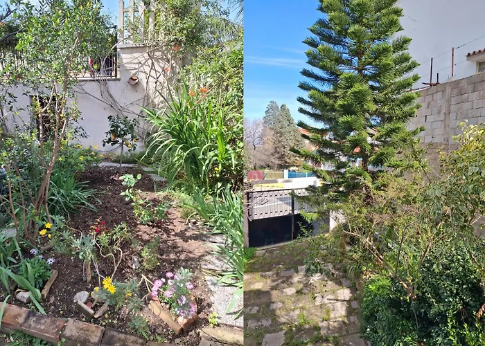 House With The Terrace And The Garden דירה
