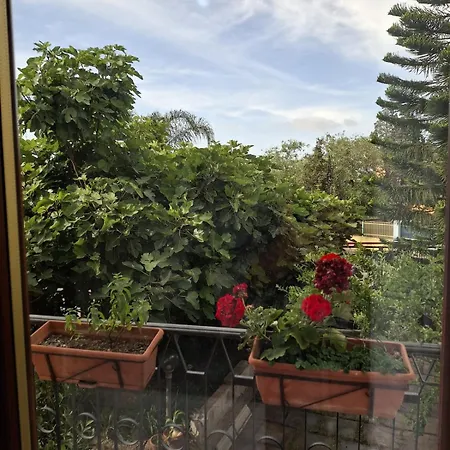 House With The Terrace And The Garden アパート カポテッラ